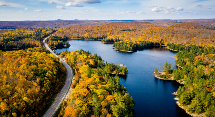 Kanada Ontario Luftaufnahme Wald See iStock Paul Hartley.jpg
