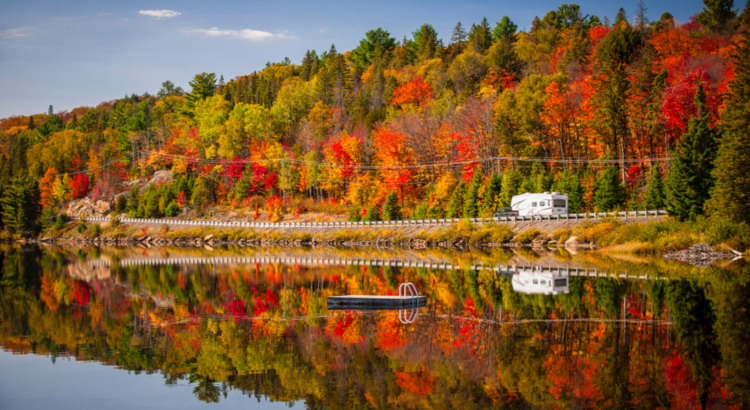 Kanada Wohnmobil Herbst buner Wald iStock Elenathewise.jpg