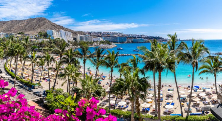 Spanien Gran Canaria Mogan