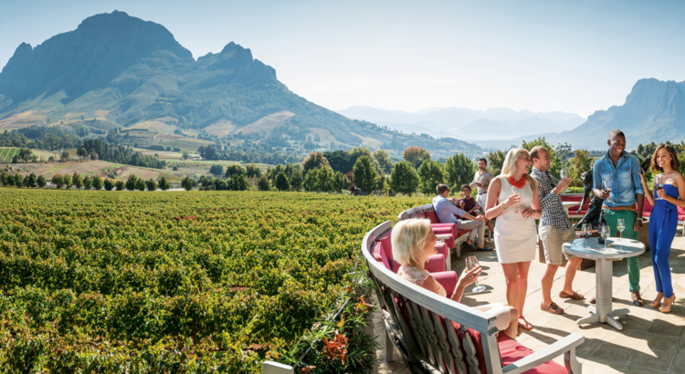 Themenwoche Südafrika 2024 Wein