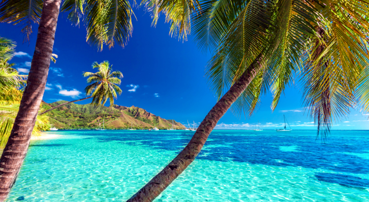 Fernreise 4 EL_Tahiti_Moorea_Strand mit blauem Meer_iStock-522726364.jpg